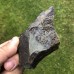 Stromatocystites pentagularis